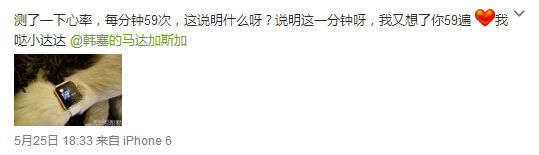 活得不如狗？王思聰愛犬身戴2只蘋果表