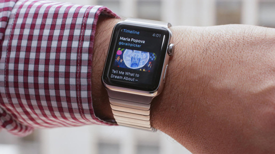 向開發(fā)者開放權(quán)限 蘋果要為Apple Watch解圍
