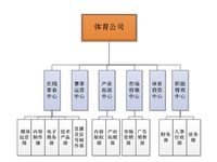 繼樂視體育后，PPTV也分拆體育公司