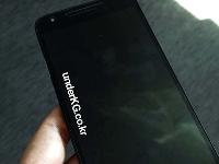 “熊貓機(jī)”！LG Nexus 5X諜照曝光