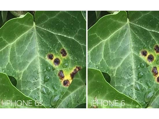 競爭真大！iPhone6s不再是移動拍照之王？