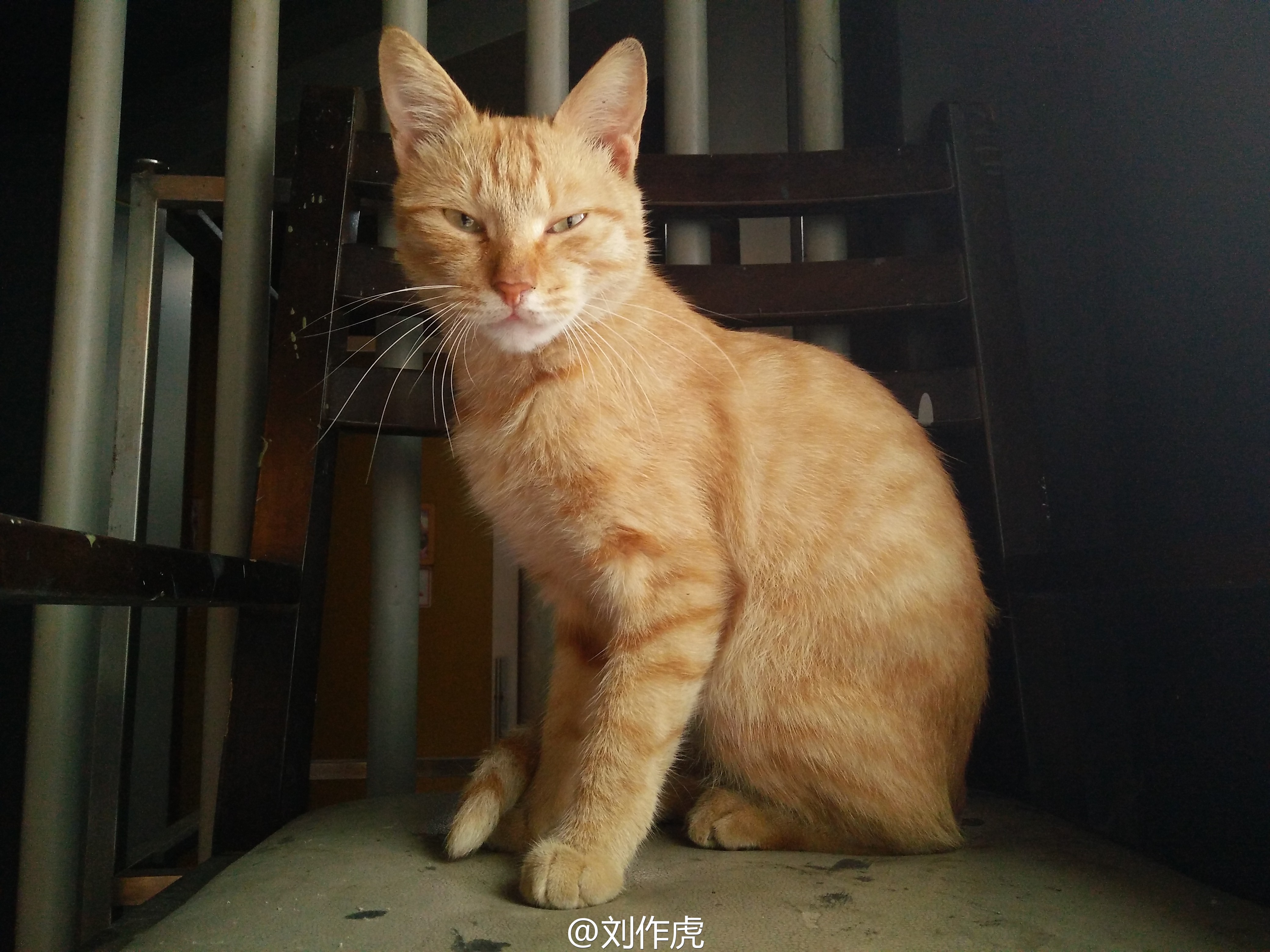 一加X樣張首曝光，跟紅米/魅藍(lán)比如何？