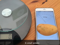 視頻：用3D Touch測重？iPhone 6s變史上最貴電子稱