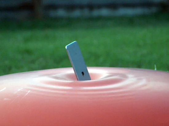 視頻：iPhone 6s Plus與大波波對戰(zhàn)，誰會贏？