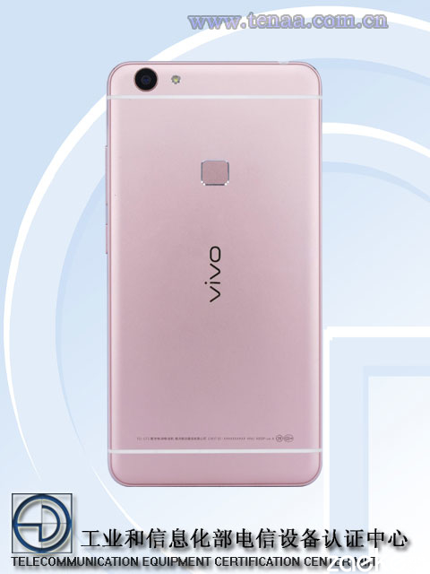 跳票王vivo Xplay5S跑分配置曝光，售價或遠(yuǎn)超3500元