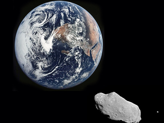 我們會被小行星撞擊毀滅嗎？還是擔心你身邊的狗狗吧