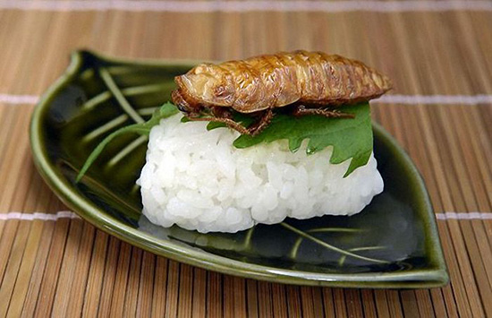 腦洞大開！未來我們可能吃這些當(dāng)食物
