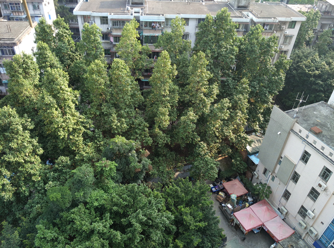 雙攝比安全更亮眼 360奇酷手機(jī)極客版測評