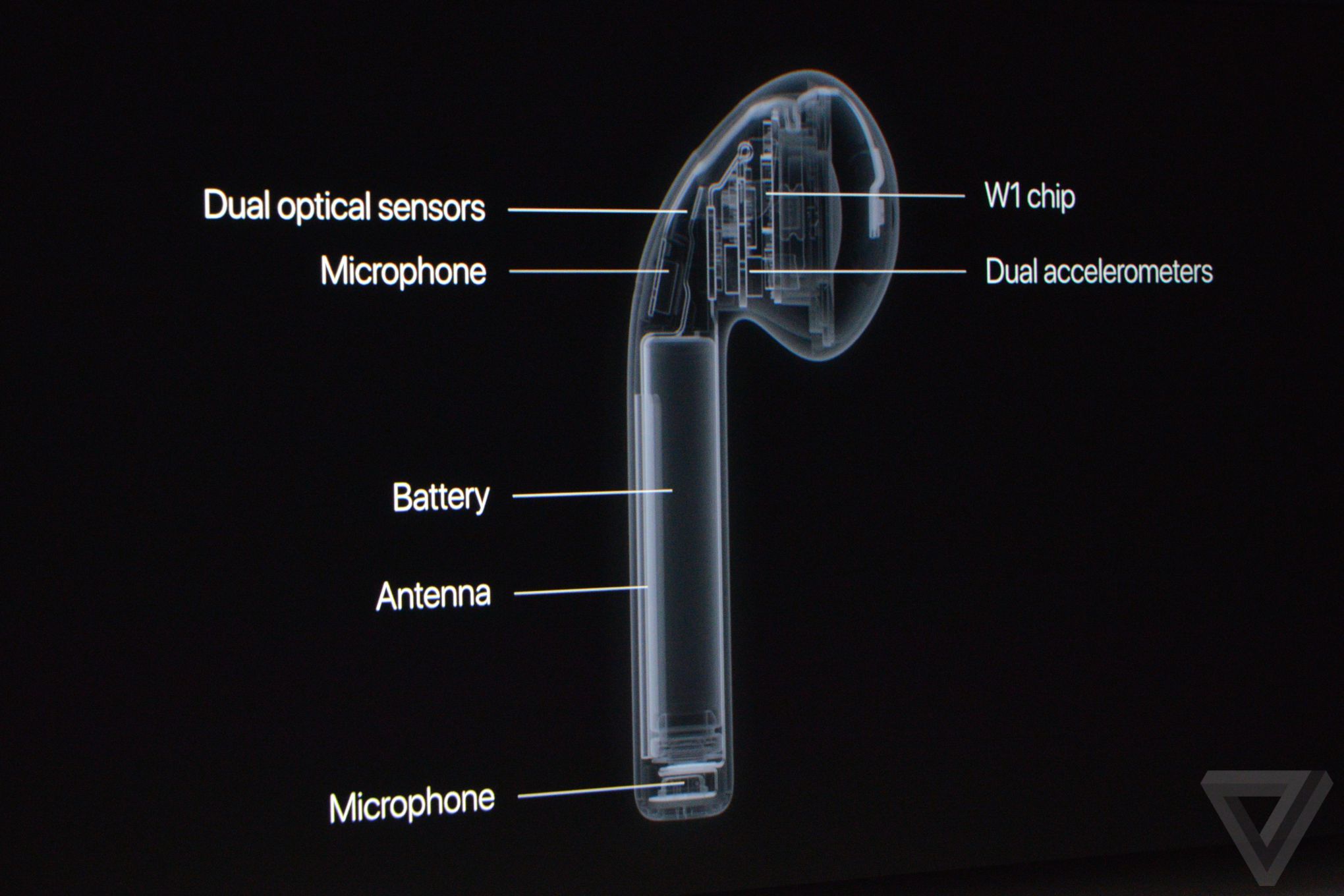 蘋果秋季發(fā)布會：除了iPhone 7還有表 就是有點(diǎn)“黑”