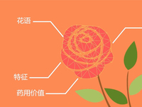 如何認出花名？微軟識花一鍵搞定