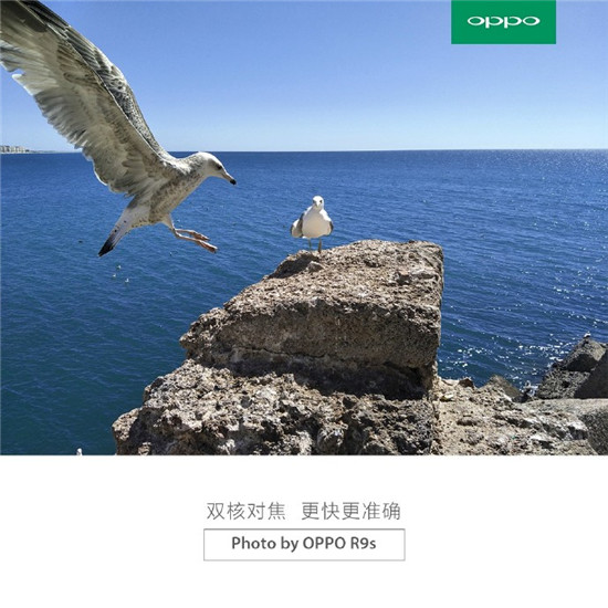 香菇，藍(lán)瘦？這些國(guó)產(chǎn)王“炸”比Boom7耀眼