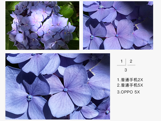 一圖看懂：OPPO5X新技術(shù) 5倍無(wú)損變焦
