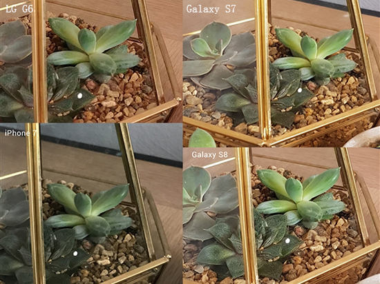 熱騰騰的機(jī)皇拍照對(duì)決！三星S8和iPhone 7你選誰
