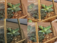熱騰騰的機(jī)皇拍照對(duì)決！三星S8和iPhone 7你選誰(shuí)