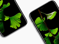 科客晚報：iPhone 8渲染圖超驚艷 小米6采用四曲面設(shè)計？