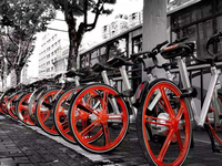共享單車(chē)提前“冬眠”：你身邊還能見(jiàn)到幾家？