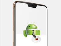 搶先小米華為？一加手機6率先公測Android Pie