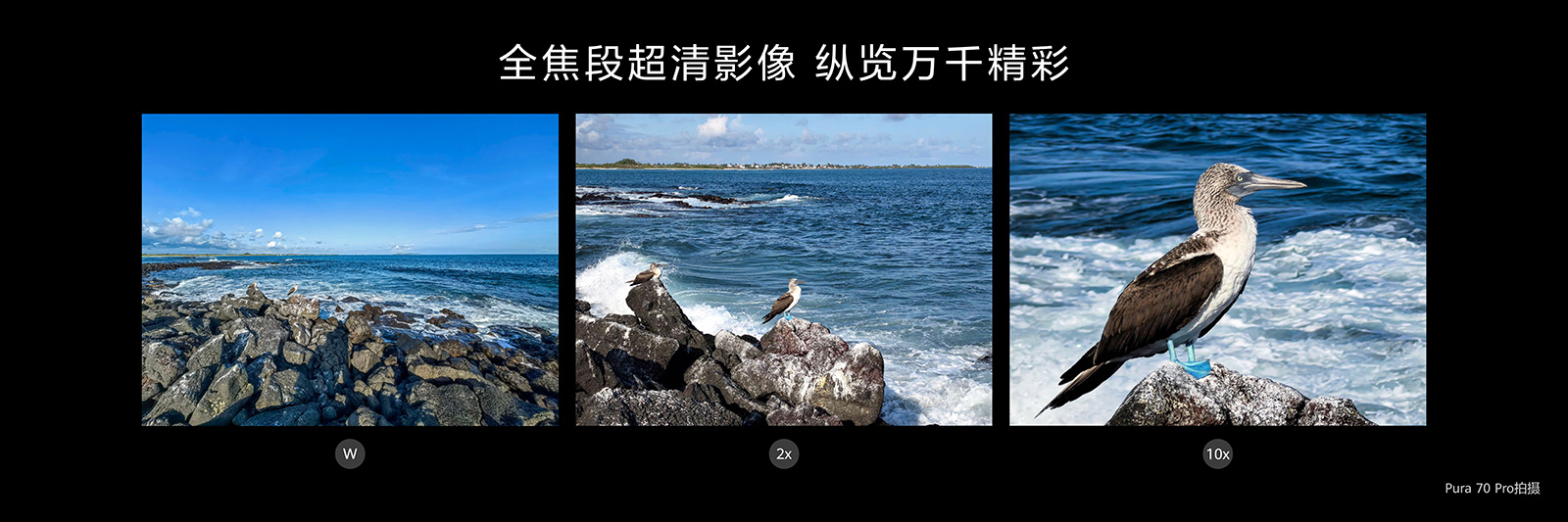 幾分鐘解決糾結(jié)癥！618大促華為Pura 70系列推薦，誰是你的C位？