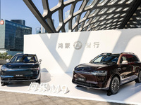 問界M9 2025款發(fā)布上市，車載小藝體驗升級支持深度思考